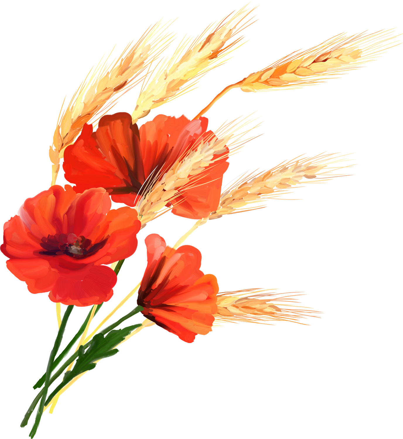 Bouquet with poppies and ears of wheat